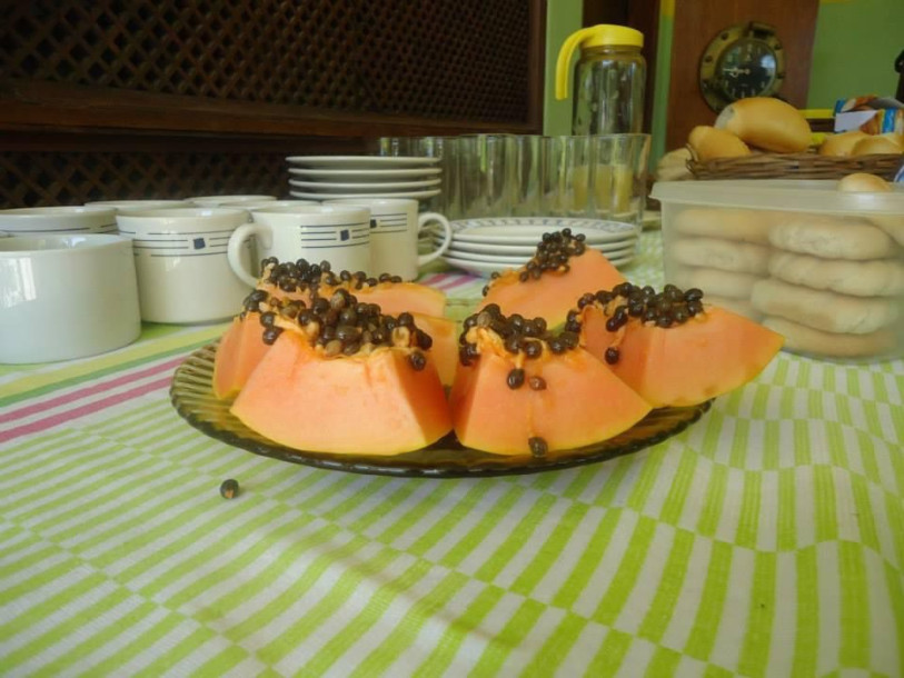 Pousada Monteiro Lobato-8